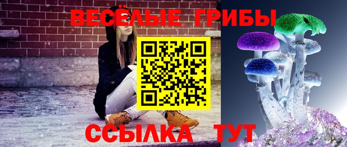 Псилоцибиновые грибы Psilocybine cubensis  Псилоцибиновые грибы мухоморы  Вход с VPN  Коммунар 